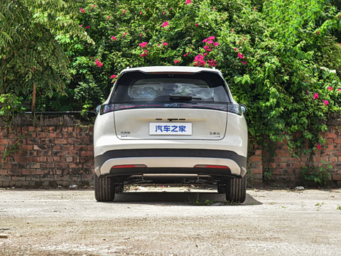 2026�� DM-i 305�Ǻ���