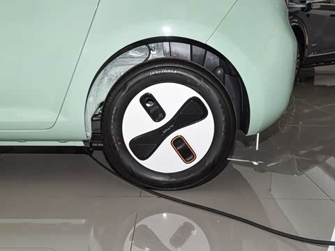 2026�� ���ذ� 205km �İ��� ����