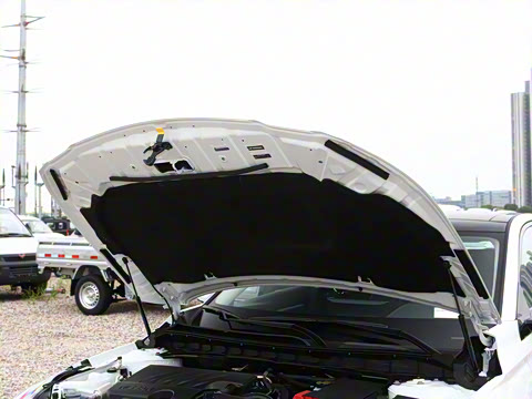 2025�� 2.0L XL-TLS ������