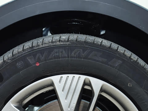 2025�� 565km ������