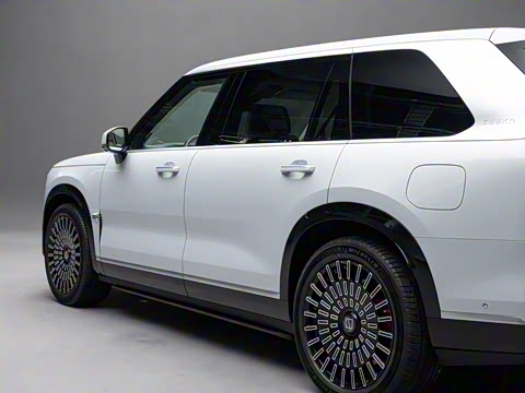 2025�� Max�� 55kWh