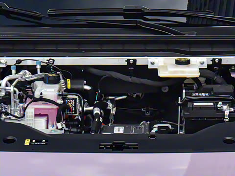 2026�� 520�Ǻ���