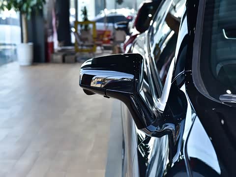 2026�� ����600 Pro�˶���