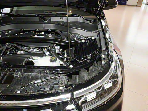 2024�� 2.3T EcoBoost �������а� 7��