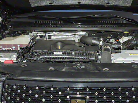 2025�� ������