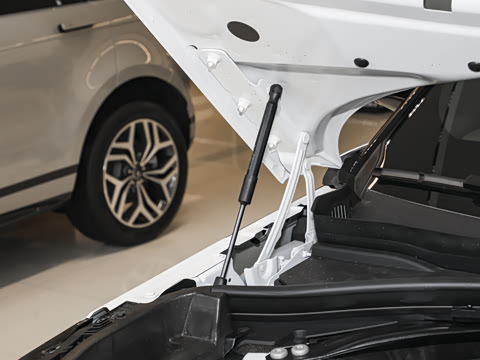 2026�� 250PS Dynamic SE