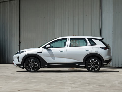 2026�� DM-i 220�캽��
