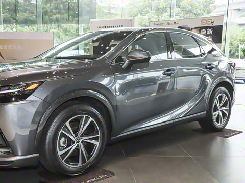 2025�� 300 ����������