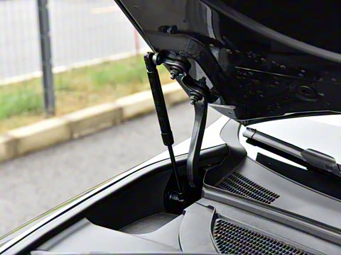 2026�� �ʼҾ�Ժ��