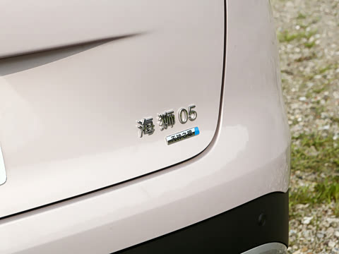 2026�� DM-i �Ǻ���