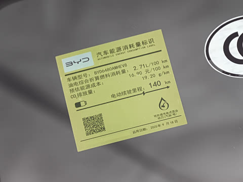 2025�� DM-i 205�캽Pro��