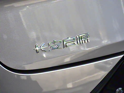 2026�� �����������̰� 310������