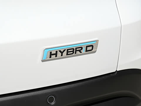 2026�� HEV �����