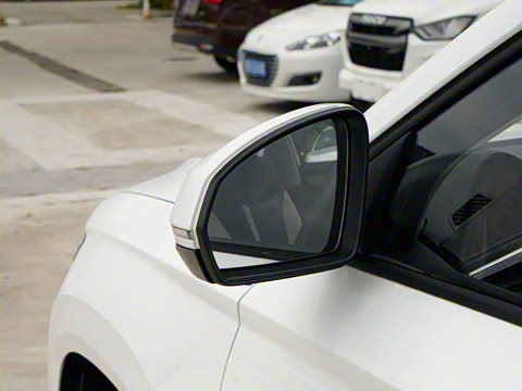 2026�� 280TSI �ֶ�����Plus��