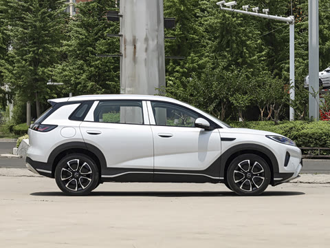 2026�� DM-i 305�캽��
