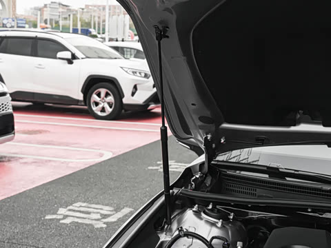 2026�� ˫�� 2.0L ������