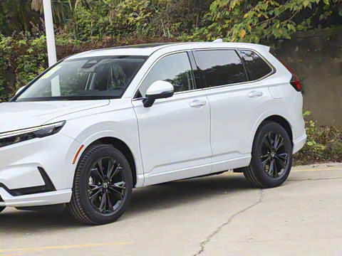 2026�� ȫ��30����ҫ�� 2.0L e:HEV ���������