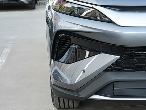 2026�� DM-i 220KM��Խ��