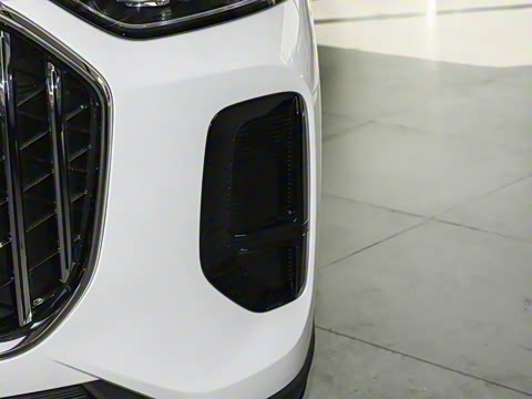 2026�� 9X 2.0T �Զ����������