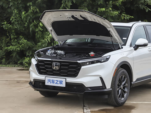 2026�� ȫ��30����ҫ�� 1.5T ��������5����