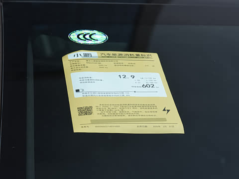 2025�� 602 ������ Max