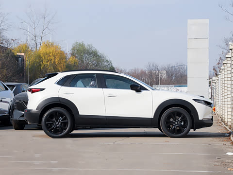 2025�� 2.0L �Զ�������