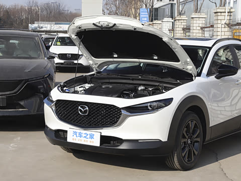 2025�� 2.0L �Զ�������