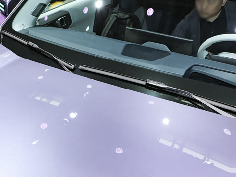 2026�� 565KM ���������