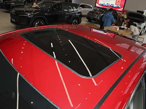 2026�� ˫�� 2.0HGVP ������