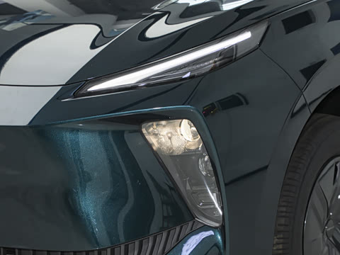 2025�� 530�캽��