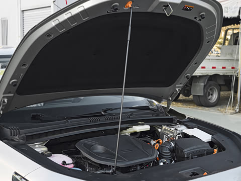 2026�� 60km���ڰ�