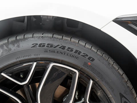 2026�� �Ŀ� Max ˫��������
