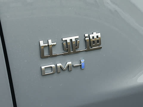 2026�� DM-i 205KM ��Խ��