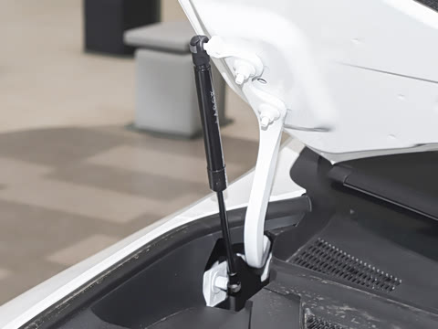 2026�� Max �����