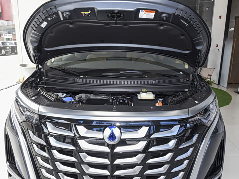 2025�� DM-i ��������