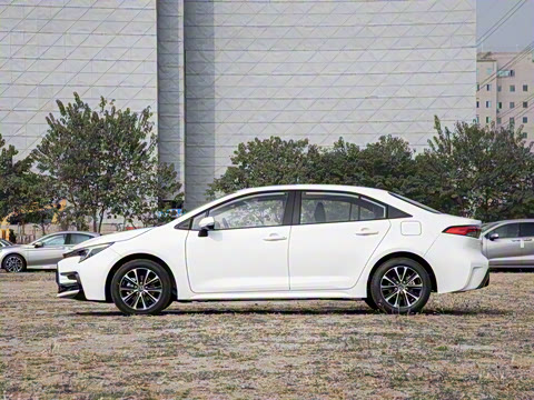 2026�� ����L ���Ͱ� 2.0L ����PLUS��