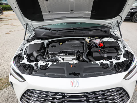 2025�� 25T ������