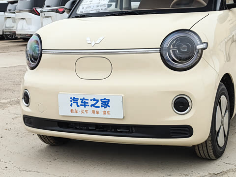 2026�� ����� 301km ������