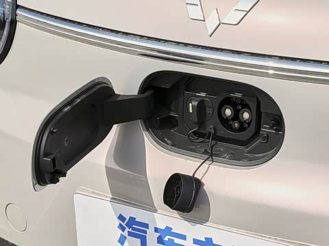 2026�� ����� 301km ���׿�