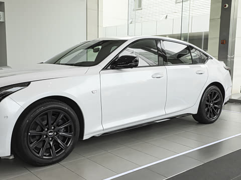 2025�� 28T �������ܰ�