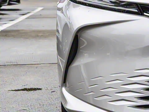 2026�� ˫�� 2.0HGVP ������