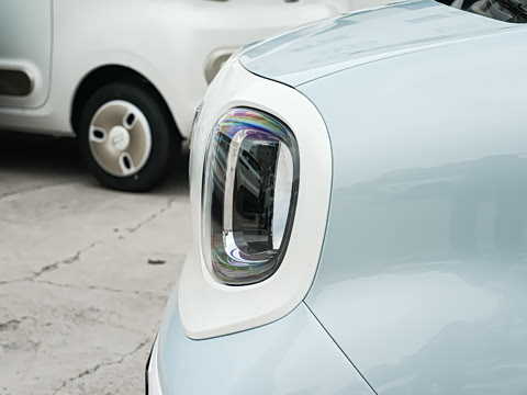 2026�� 222km ������