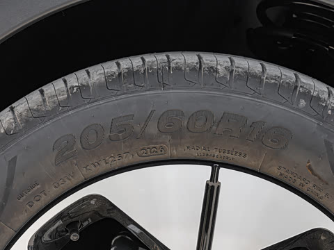 2026�� 310km �˷��