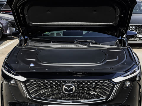 2026�� ����200 Pro�˶���