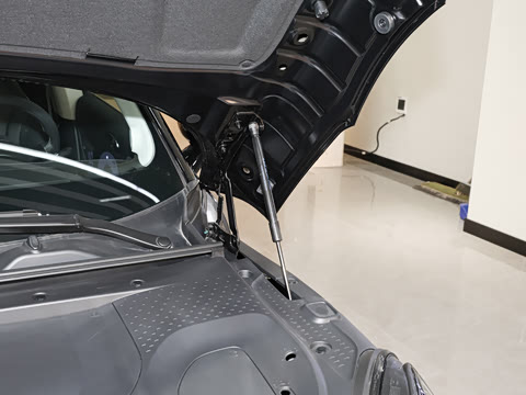 2026�� �鶯��������