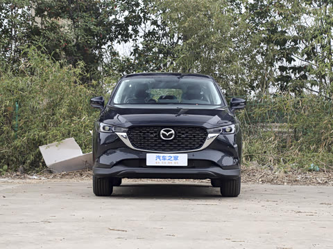 2025�� 2.0L �Զ�����������