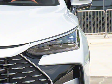 2025�� �Ǽݰ� DM-i 175KM �����״��콢��