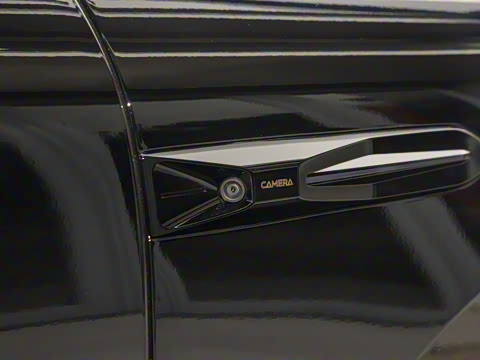 2025�� �Ŀ� 350 Max���������״��