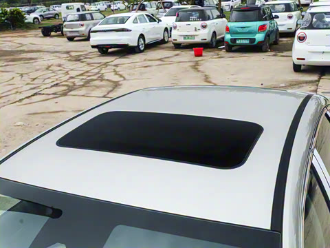 2026�� 60km̽����