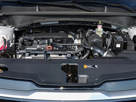 2026�� ����������